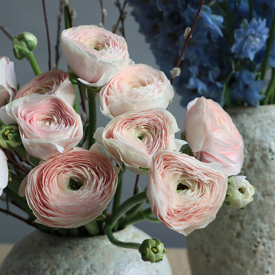 Композиция, сет №8