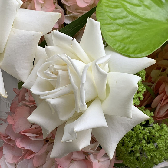 Весенние оттенки 