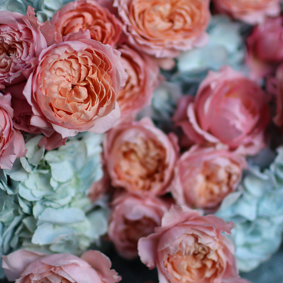 Дуобукет из гортензии и кустовой пионовидной розы