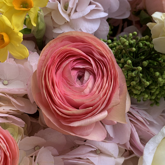 Лучистая весна