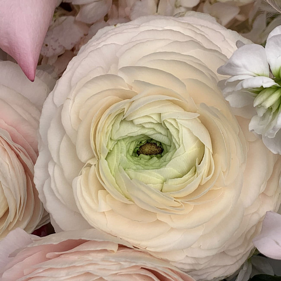 Ласковый взгляд