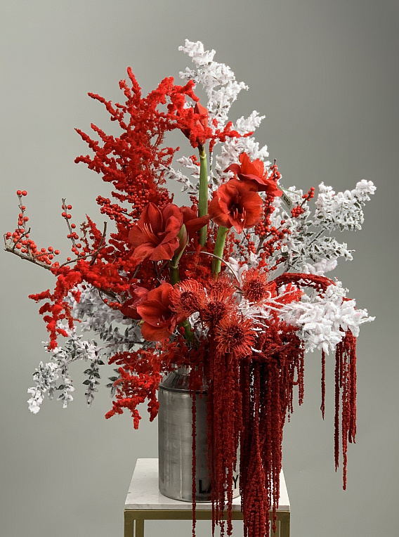 Бордо в снегу 