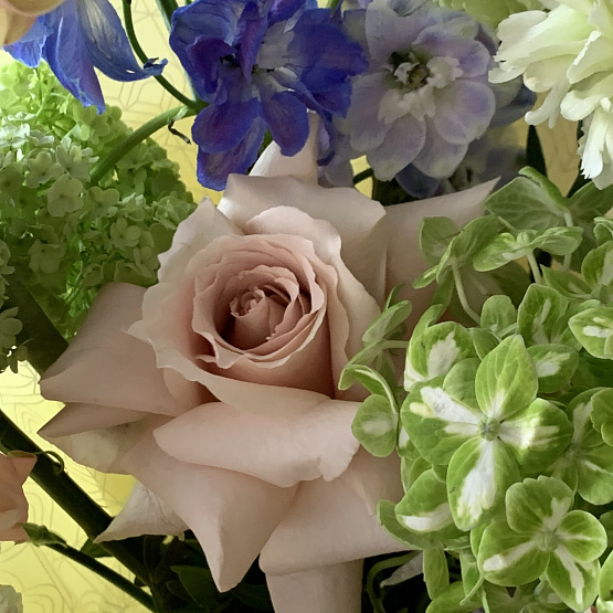 Moments of tenderness