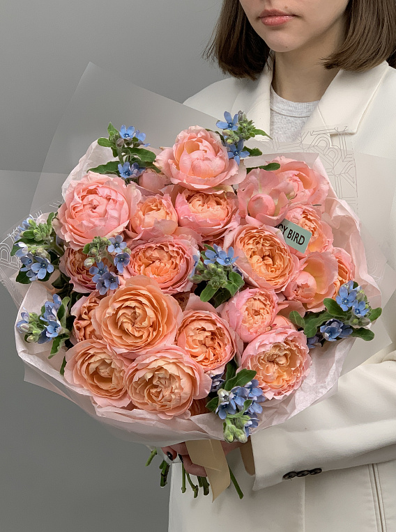 Мелодия весны