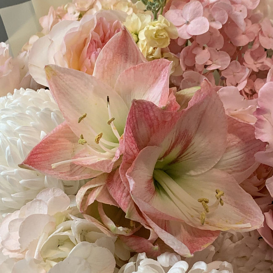 Бархат Деворе