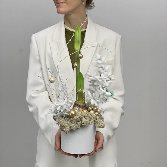 Луковка в снегу 