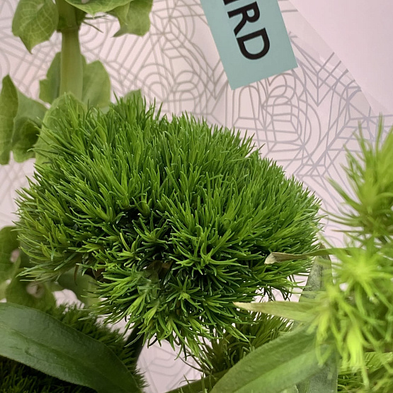 Сет для дома Грин