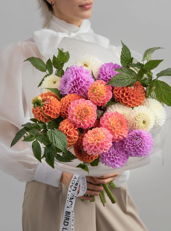 Микс из георгинов