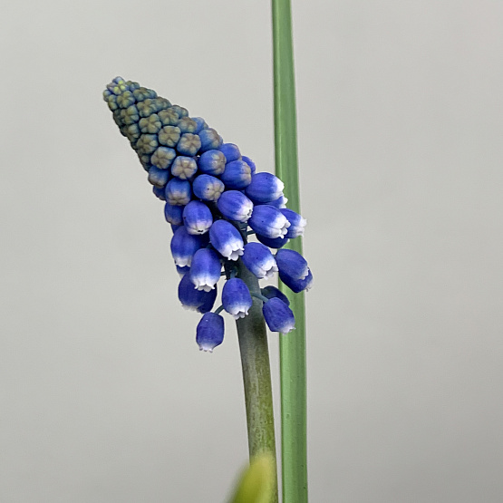 на солнечном склоне