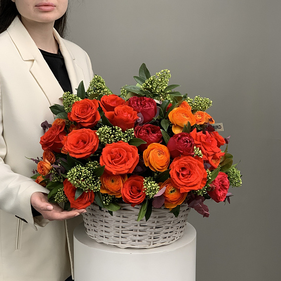 Поляна красок