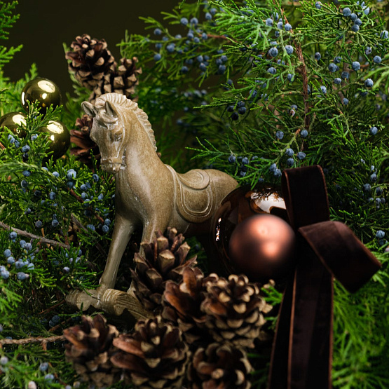 Сет №2 «Тайны леса»