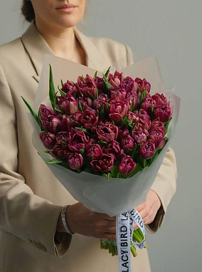 Фиолетовые тюльпаны 51 шт