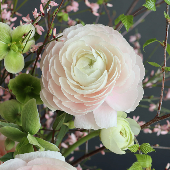 Композиция, сет №5