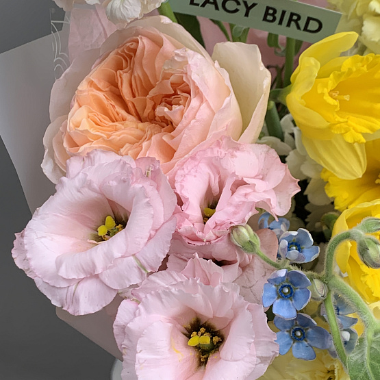 Весенняя радуга