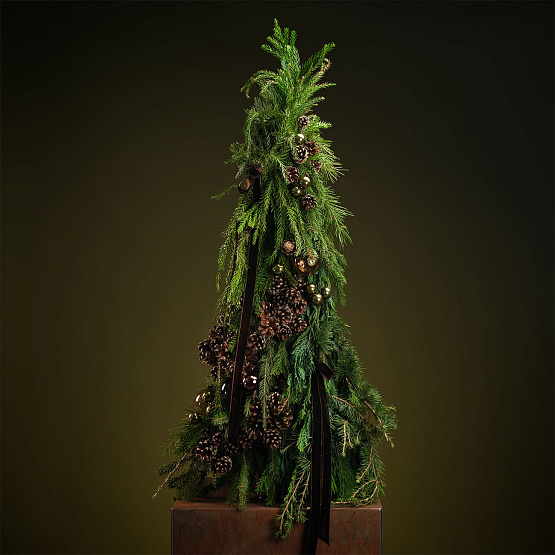 Сет №4 «Тайны леса»