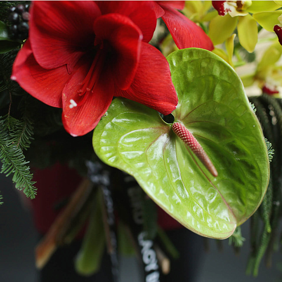 Букет «Зимние тропики»