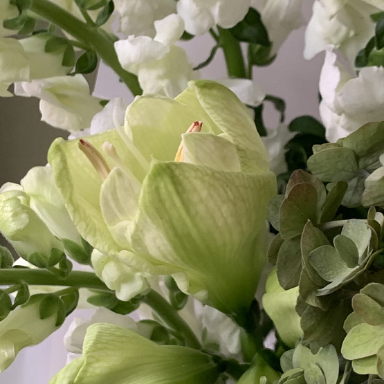 Букет недели «Горный ручей»