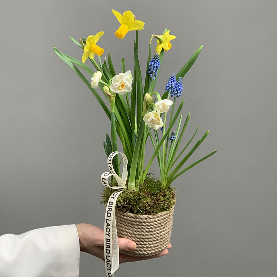 Ласковые слова