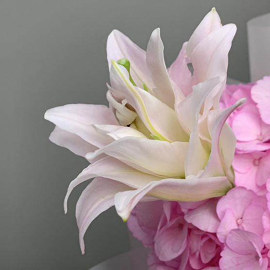 Романтическая история