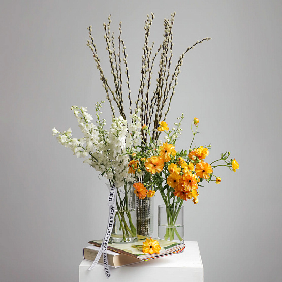 Композиция, сет №11