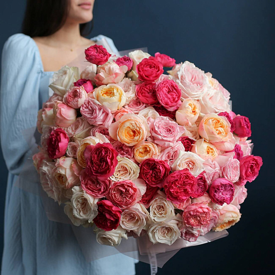 101 Garden Roses Mix