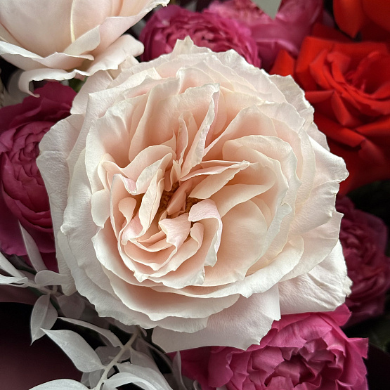 Зимнее пламя 