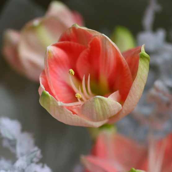 Авторский букет «Ягоды на снегу»