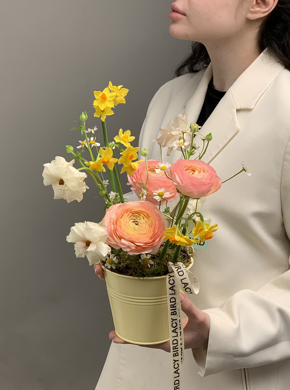 Краски солнца 