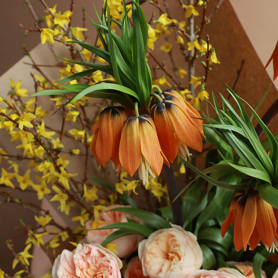 Композиция, сет №9