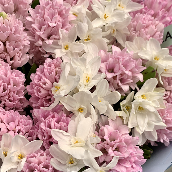 Волна аромата