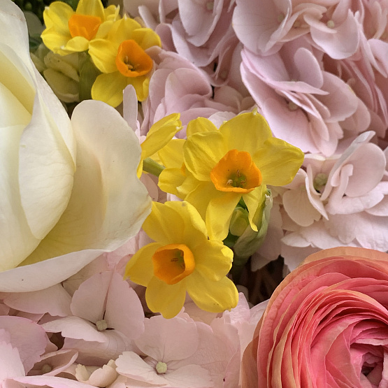 Лучистая весна