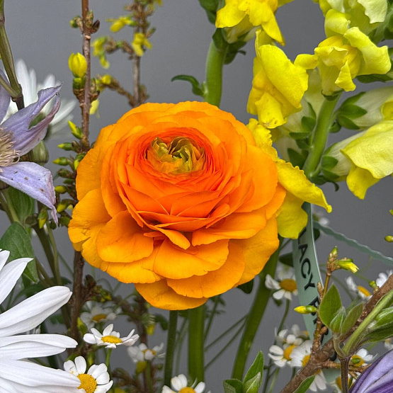 Весеннее утро