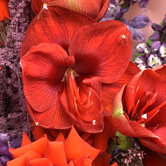 Поцелуй Афины