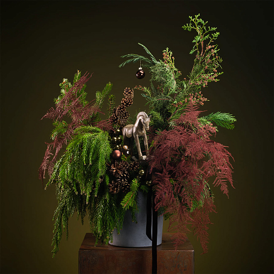 Сет №1 «Тайны леса»