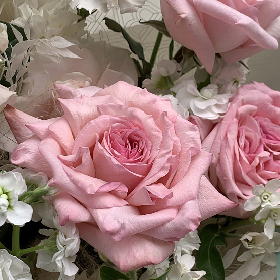 Танец лепестков