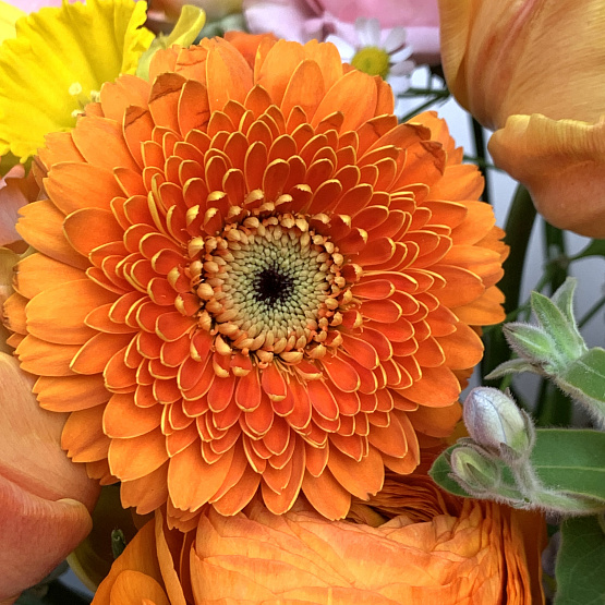 мартовская капель