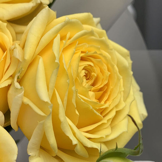 Солнечный витамин