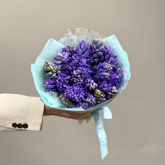 синие гиацинты