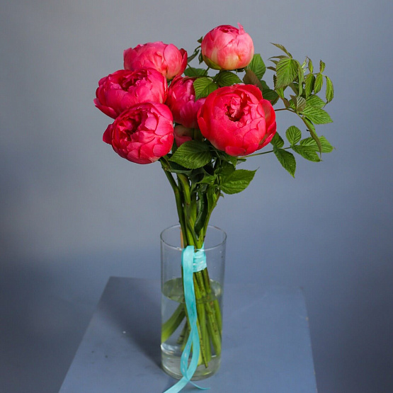 Букет из пионов «Coral Charm»