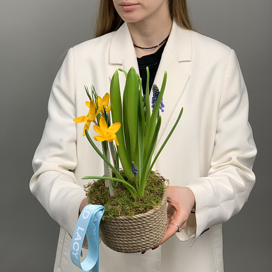 свежий ветерок