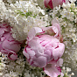 The scent of inspiration