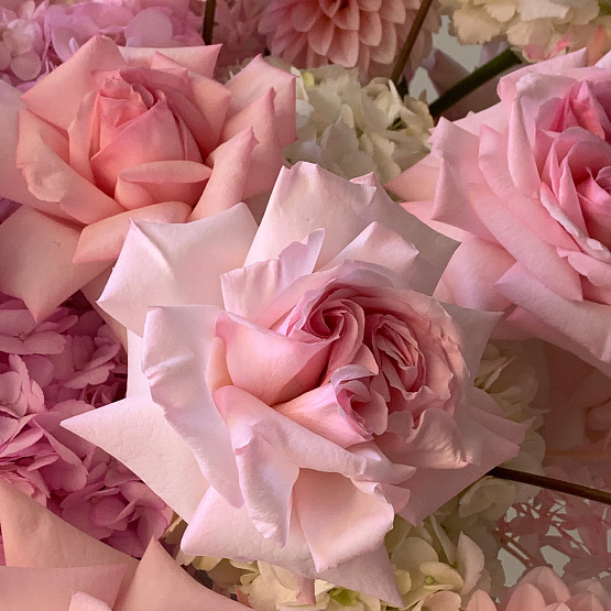 Коробка с цветами «Розовая вуаль»