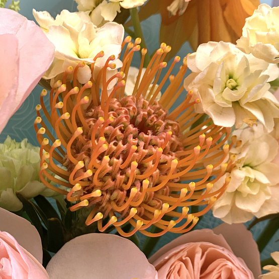 мятный апельсин