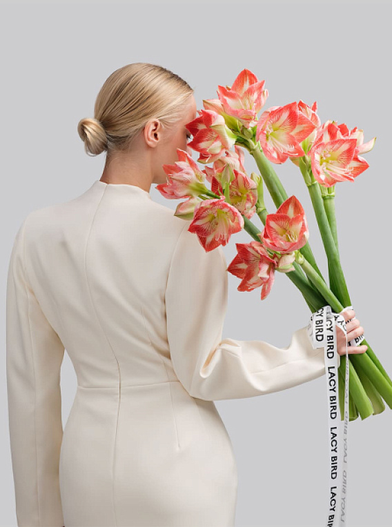 Амариллисы в вазу