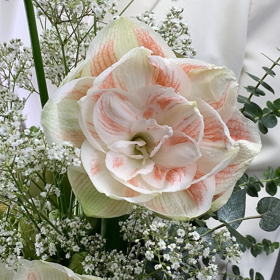 Шёпот сердца