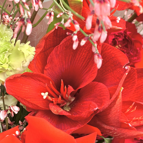 Пламенный свет