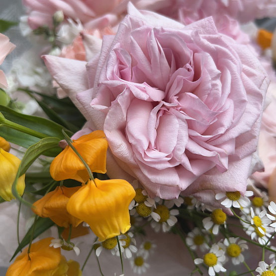 Сицилийская весна