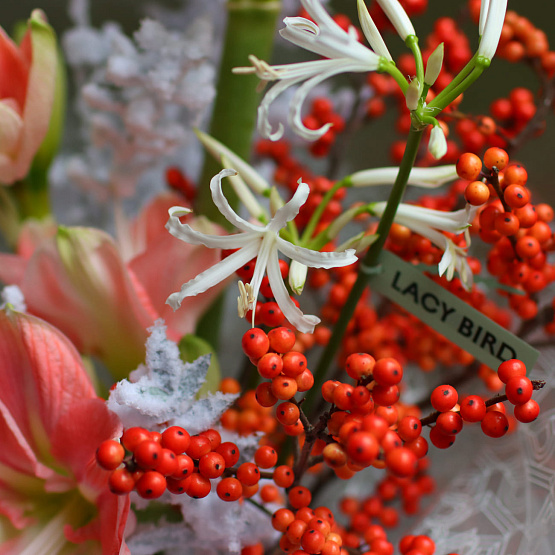 Авторский букет «Ягоды на снегу»
