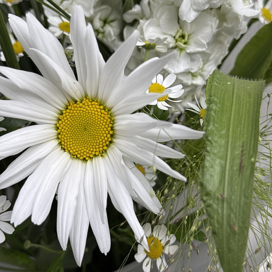 Заповедный уголок