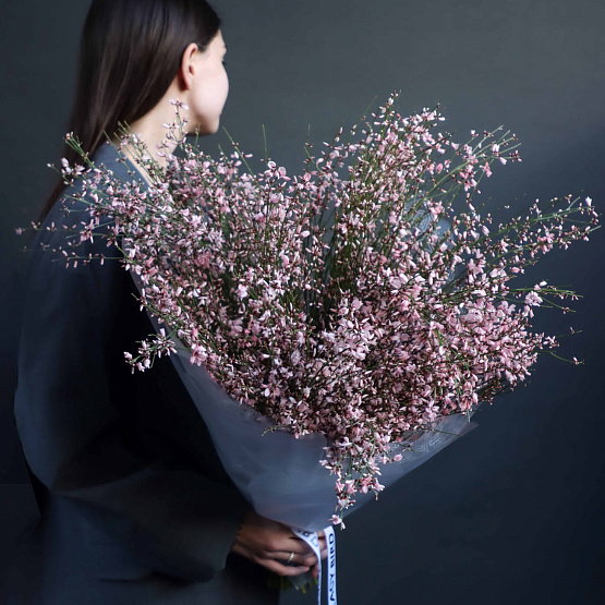 Монобукет из генисты